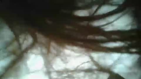 Snapshot of bigjames_chicago chatting on 19, 1, 2025 daddy online show from 19, 1, 2025