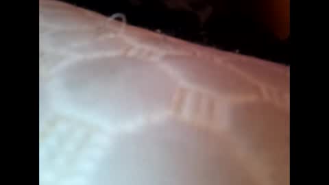 bigloggzz online show from 8, 1, 2025