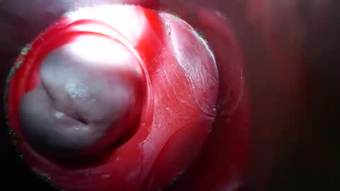 bigmoneycorey online show from 10, 3, 2026