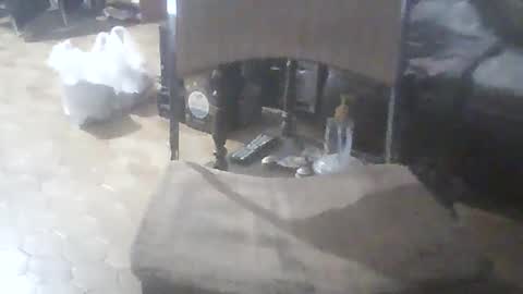 bigpenix online show from 7, 2, 2026