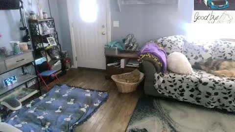 Skittles online show from 24, 2, 2026