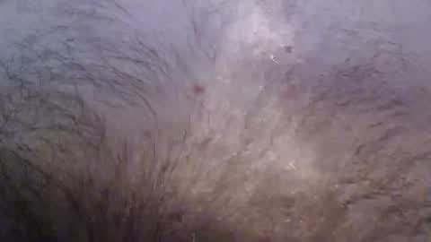 bigstudjohn22 online show from 16, 11, 2025