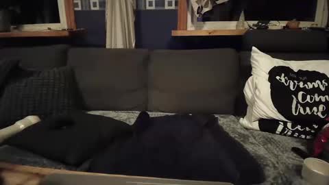 Snapshot of bigswe1 chatting on 16, 12, 2024 bigswe1 online show from 16, 12, 2024