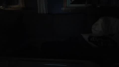 Snapshot of bigswe1 chatting on 17, 1, 2025 bigswe1 online show from 17, 1, 2025