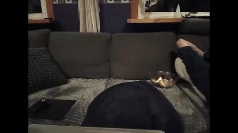 Snapshot of bigswe1 chatting on 5, 3, 2025 bigswe1 online show from 5, 3, 2025