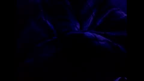 bigtgs online show from 17, 2, 2025