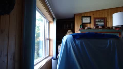 Snapshot of bigthicksatisfying2 chatting on 17, 9, 2025 bigthicksatisfying2 online show from 17, 9, 2025