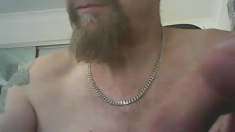 aussiecock online show from 1, 12, 2024