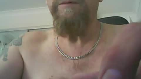 aussiecock online show from 4, 12, 2024