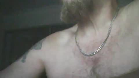 aussiecock online show from 5, 12, 2024