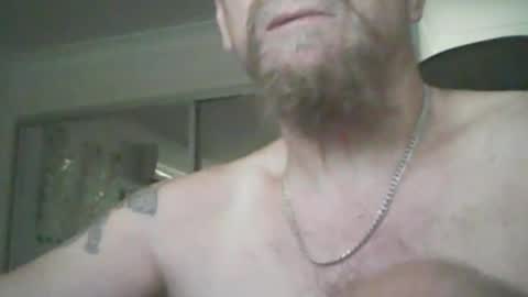 aussiecock online show from 5, 12, 2024