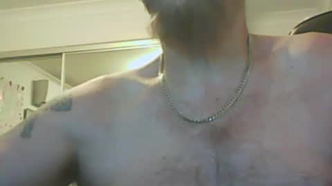 aussiecock online show from 8, 12, 2024
