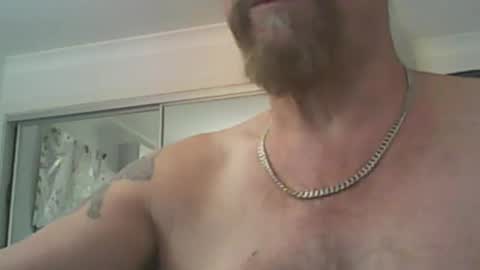 aussiecock online show from 20, 12, 2024