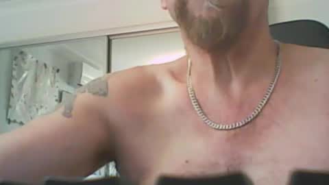 aussiecock online show from 21, 12, 2024