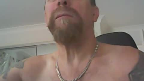 aussiecock online show from 3, 1, 2025