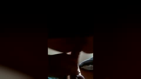 DeePee online show from 28, 6, 2026