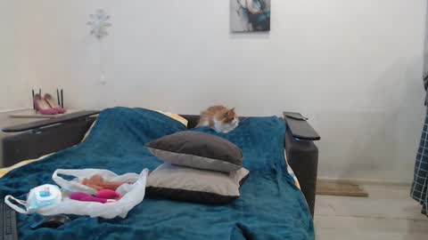 Snapshot of bigtwinsomg chatting on 27, 2, 2026 BigTwinsOmg online show from 27, 2, 2026