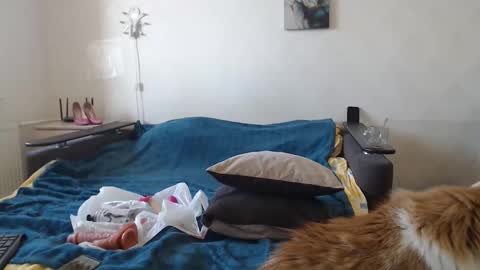 Snapshot of bigtwinsomg chatting on 11, 3, 2026 BigTwinsOmg online show from 11, 3, 2026