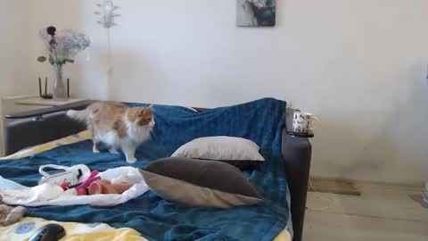 Snapshot of bigtwinsomg chatting on 16, 3, 2026 BigTwinsOmg online show from 16, 3, 2026