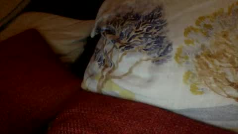 bigvic25cm online show from 1, 3, 2025