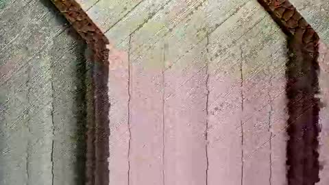 bigwytecock1979 online show from 24, 12, 2024