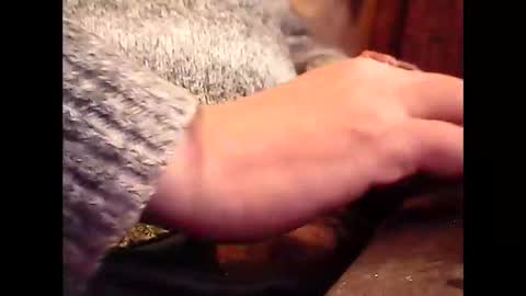 bilco03 online show from 20, 11, 2025