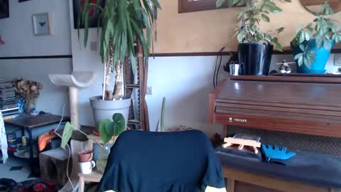 Billy FingerCut online show from 4, 3, 2025