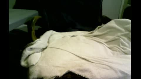 bimale4hotphuk online show from 20, 2, 2025