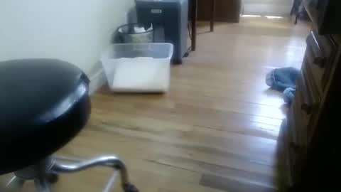 bitexan69 online show from 30, 9, 2025