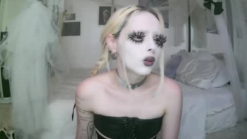 vampire fang  online show from 13, 3, 2026