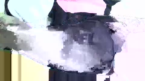 black_berry9 online show from 16, 3, 2026