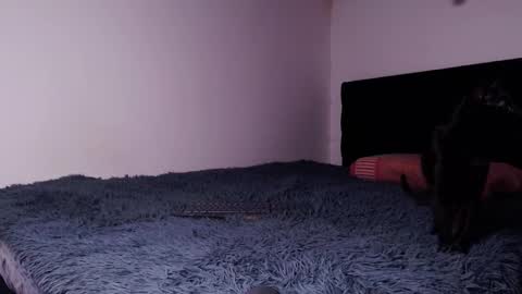 black_firex online show from 6, 10, 2025