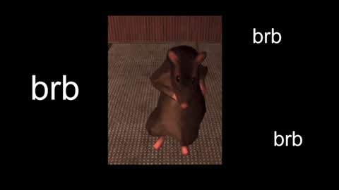 Snapshot of black_kittie_01 chatting on 20, 1, 2025 Black Kittie Wednesday - 1300 - 1900 GMT help me get 100 thumbs up online show from 20, 1, 2025