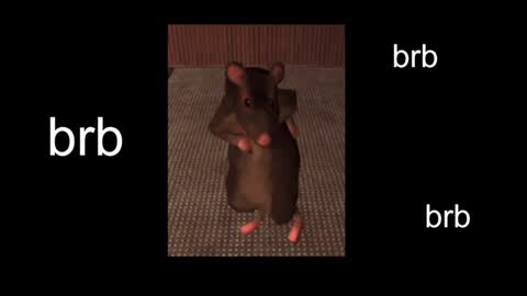 Snapshot of black_kittie_01 chatting on 31, 1, 2025 Black Kittie Wednesday - 1300 - 1900 GMT help me get 100 thumbs up online show from 31, 1, 2025