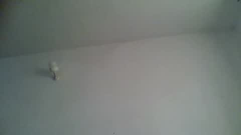 Snapshot of blackafrica2023 chatting on 15, 11, 2025 black african online show from 15, 11, 2025