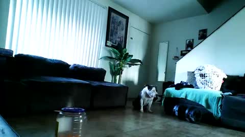 Snapshot of blackriches96 chatting on 17, 2, 2025 blackriches96 online show from 17, 2, 2025