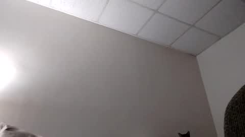 Snapshot of blahblam420 chatting on 5, 2, 2025 blahblam420 online show from 5, 2, 2025