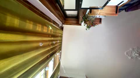 Snapshot of blair_switch chatting on 16, 11, 2025 Blair online show from 16, 11, 2025