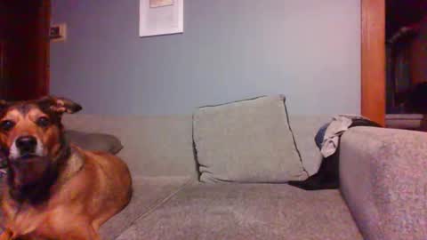 blaw_1321 online show from 16, 10, 2025