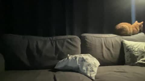 BlIdoL online show from 24, 11, 2025