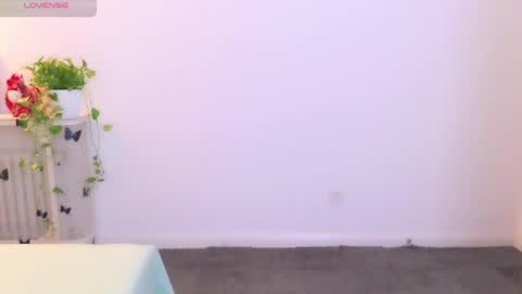 YoYo online show from 14, 5, 2026