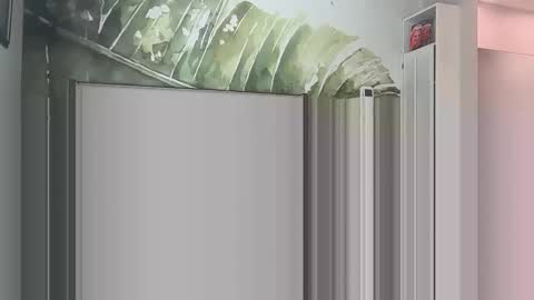 Snapshot of blondebunny999 chatting on 18, 3, 2026 blondebunny999 online show from 18, 3, 2026