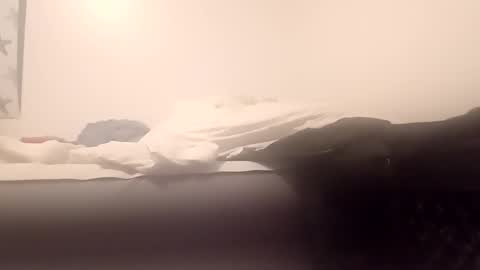 Mark online show from 23, 12, 2024