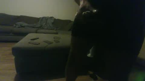 blongd2 online show from 19, 1, 2026