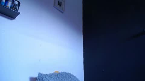 bunbury online show from 22, 9, 2025