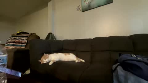 Snapshot of bluebloodednorsewitch chatting on 16, 10, 2025 bluebloodednorsewitch online show from 16, 10, 2025