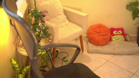 FLORAA online show from 15, 12, 2024
