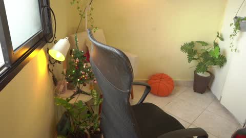 FLORAA online show from 23, 12, 2024
