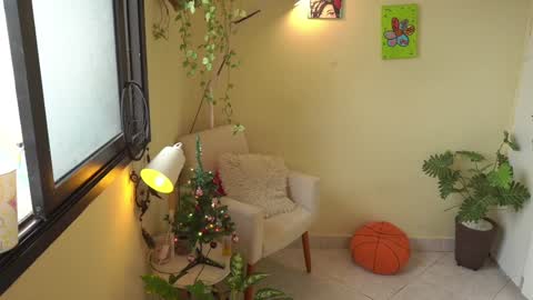 FLORAA online show from 24, 12, 2024