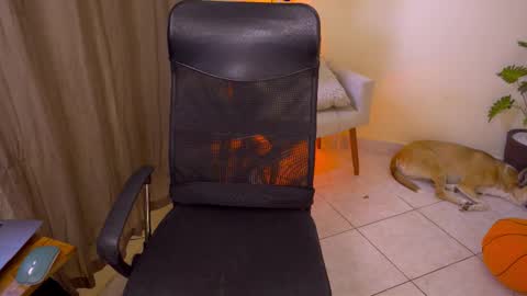 FLORAA online show from 3, 12, 2025